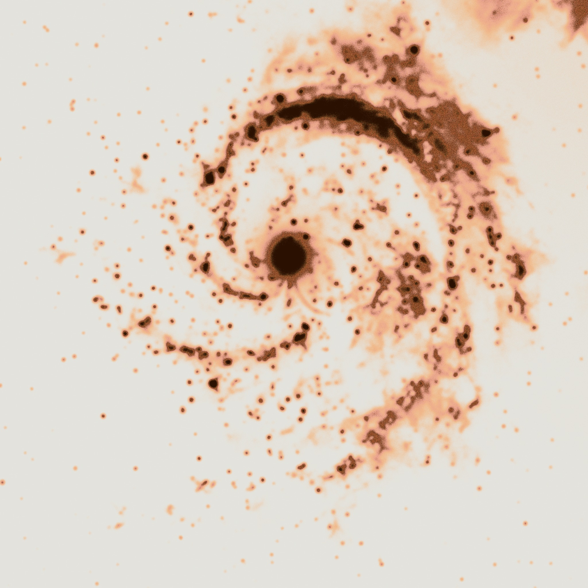 An abstract human face emerging through luminous rose and umber pigment